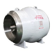 Check Valve